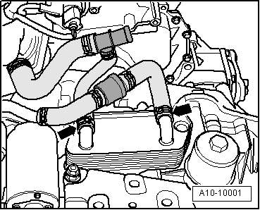 Volkswagen Tiguan. A10-10001