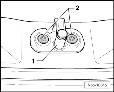 Volkswagen Tiguan. N55-10315