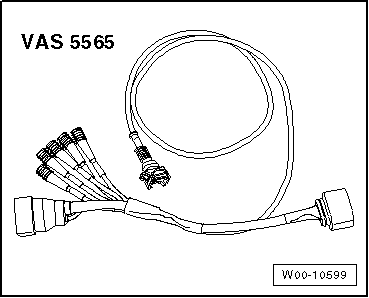 Volkswagen Tiguan. W00-10599